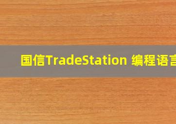 国信TradeStation 编程语言